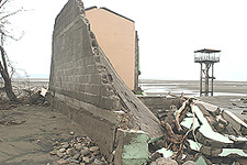 Utila 8